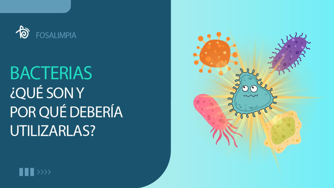 BACTERIAS: ¡¿QUÉ SON, para qué sirven y por qué son TAN INDISPENSABLES para mi fosa?!