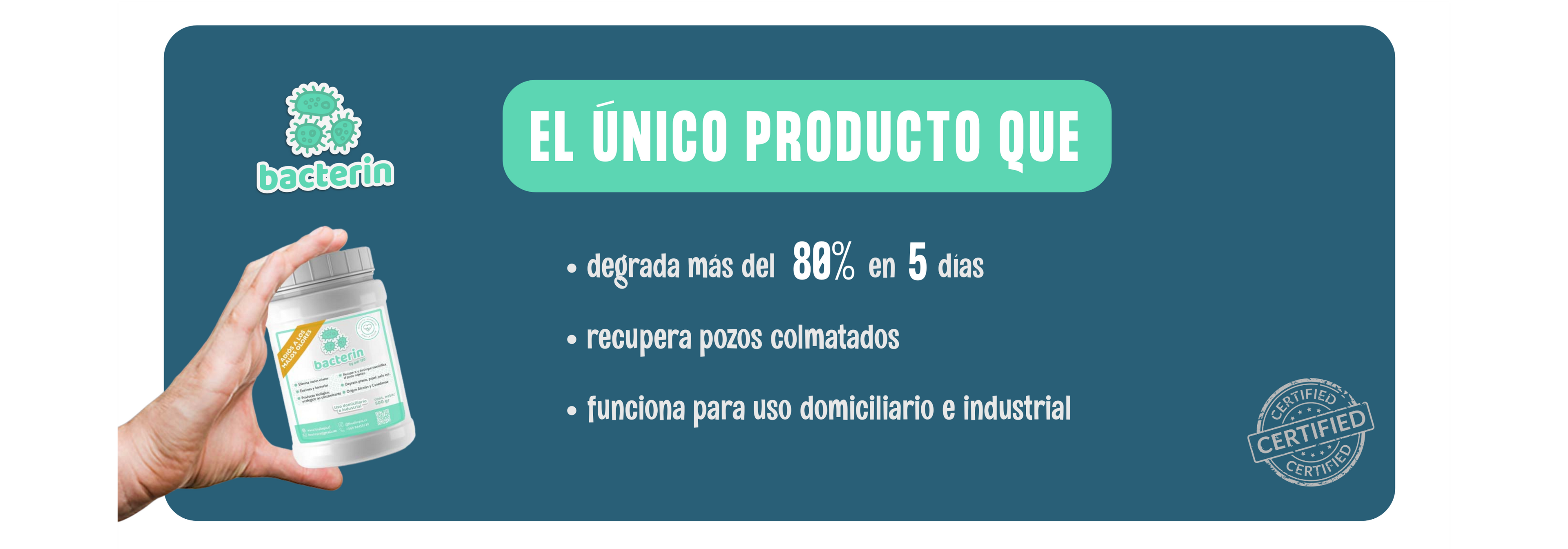 bacterias fosa septica chile